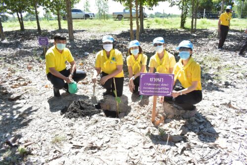 กิจกรรมวันรักต้นไม้ ประจำปีของชาติ พ.ศ. 2563